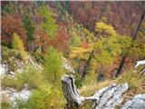 Kaptan-Brana-Turska gora barvitost jeseni